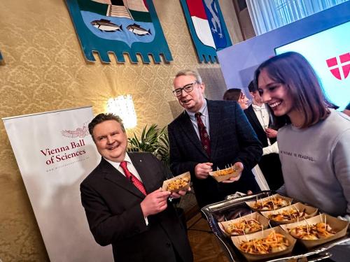 Verkostung der Ballsnacks aus Erbsen, zubereitet von der Firma Planted